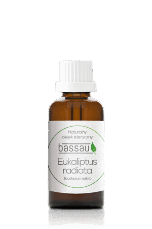Olejek eukaliptus radiata