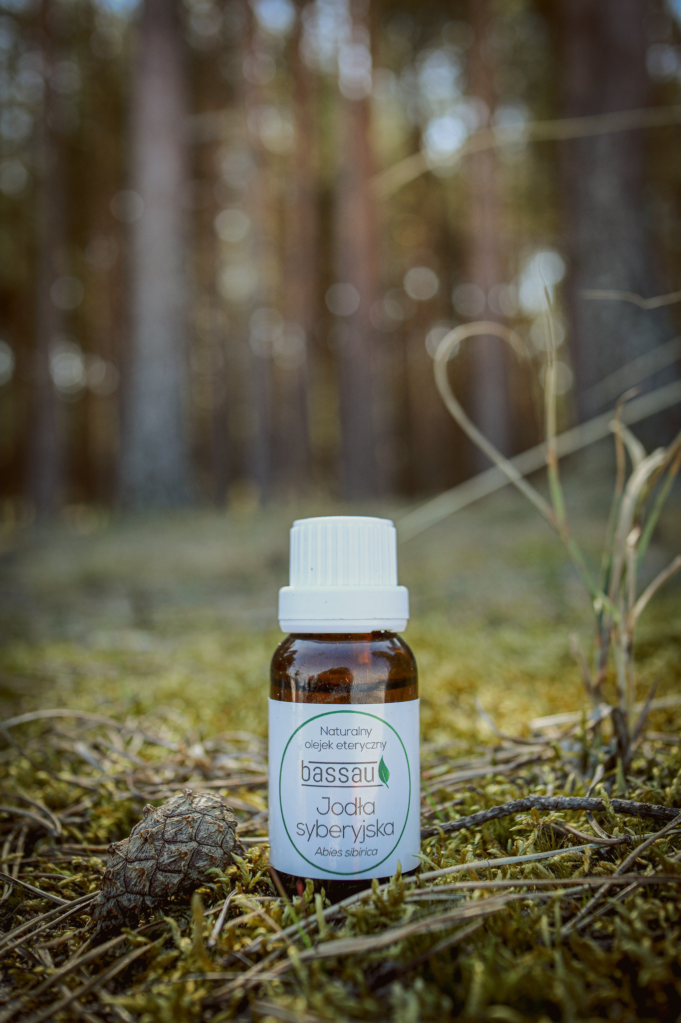 Olejek jodła syberyjska - obrazek 3
