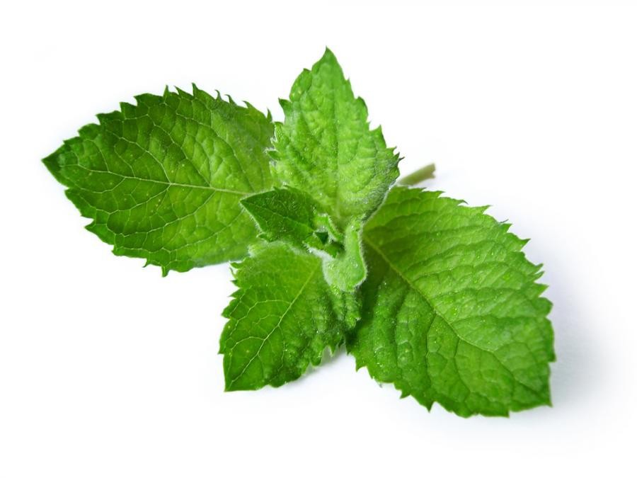 Olejek mięta pieprzowa - obrazek 2