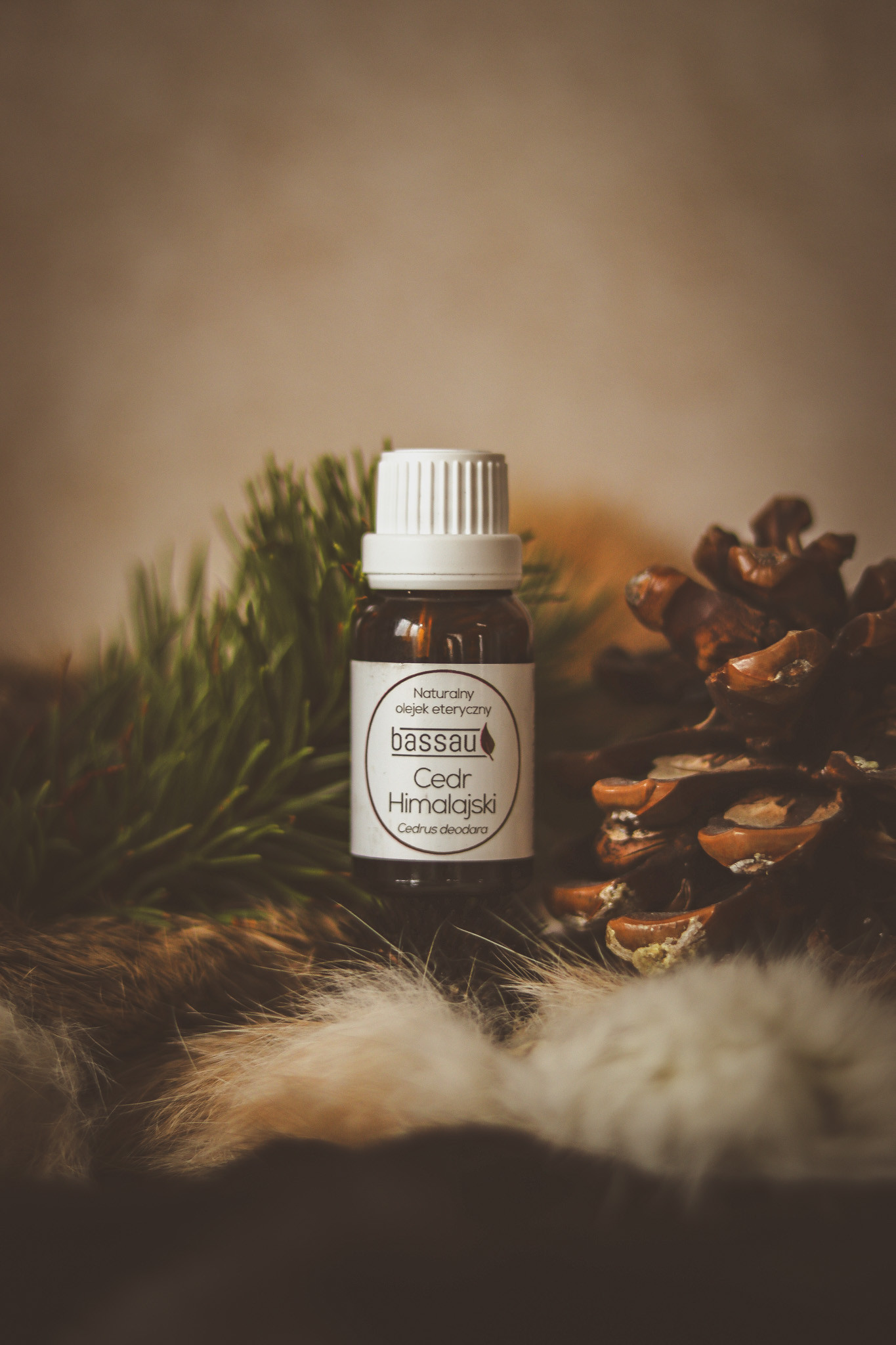 Olejek cedr himalajski - obrazek 3