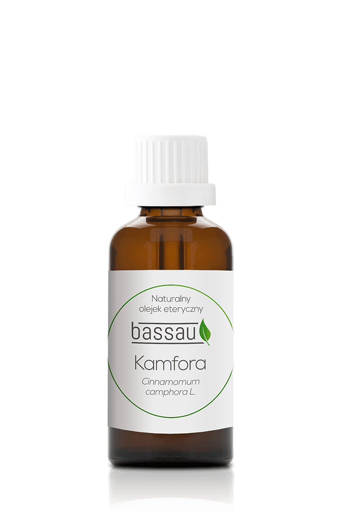 Olejek kamfora