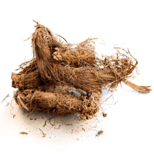 Olejek Nardostachys Jatamansi