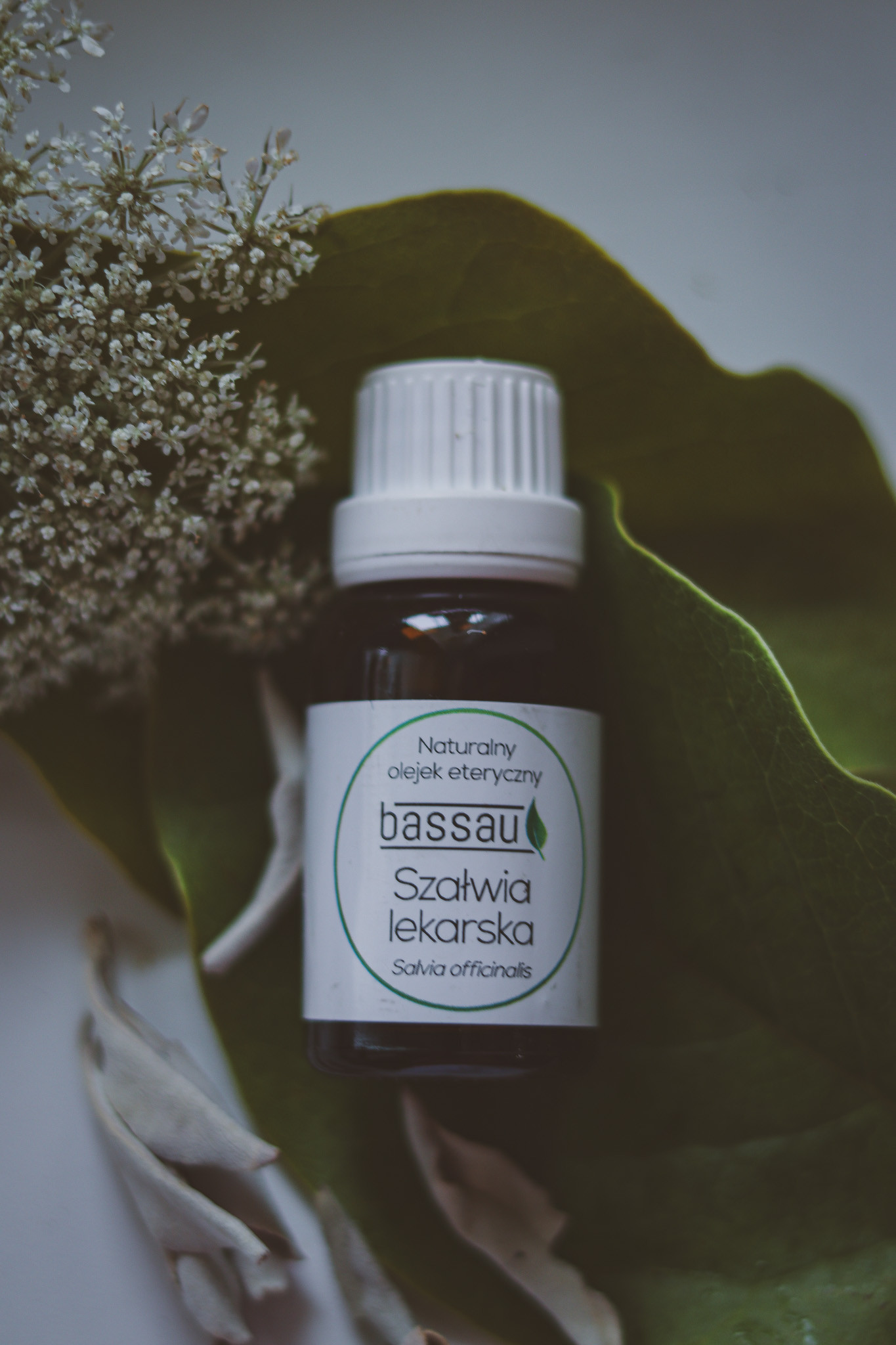 Olejek szałwia lekarska - obrazek 3