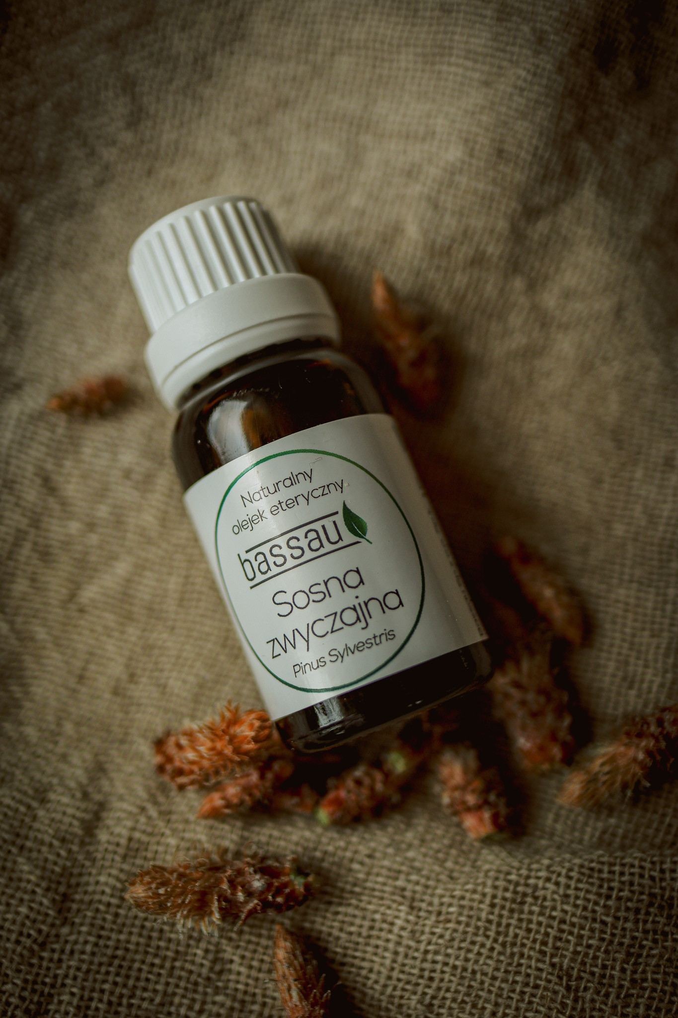 Olejek sosna zwyczajna - obrazek 4