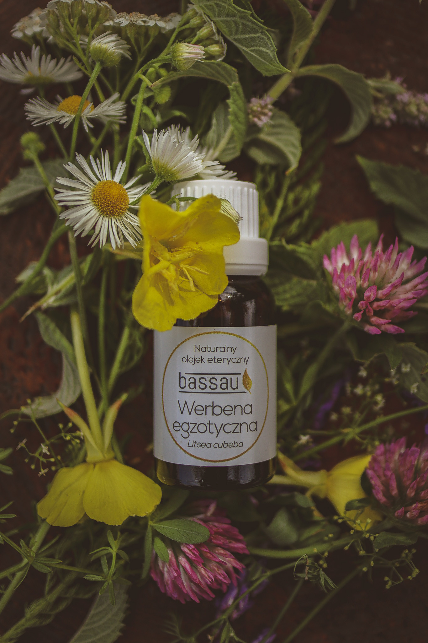 Olejek werbena egzotyczna - obrazek 3